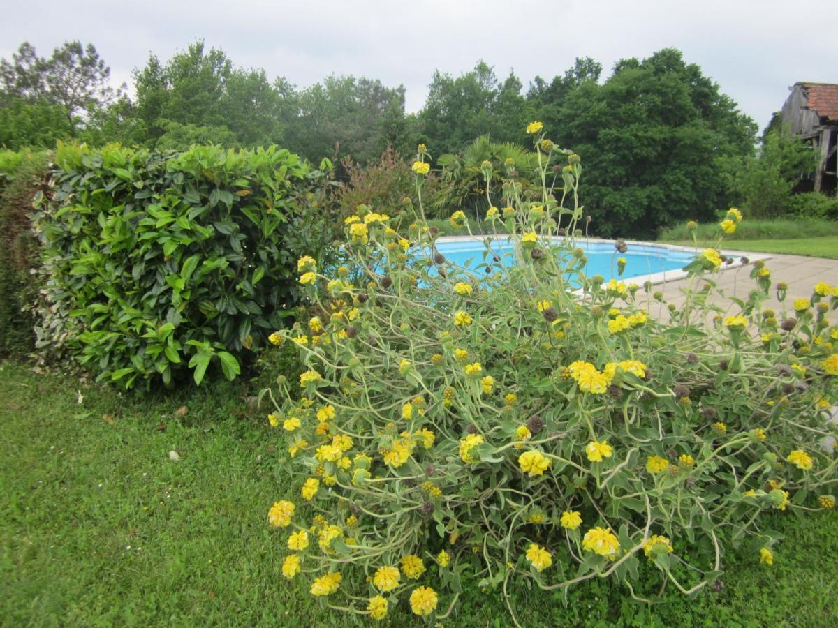 Gite La Taniere Classe 3 Etoiles Avec Terrasse Et Piscine Vila La Bachellerie Exterior foto